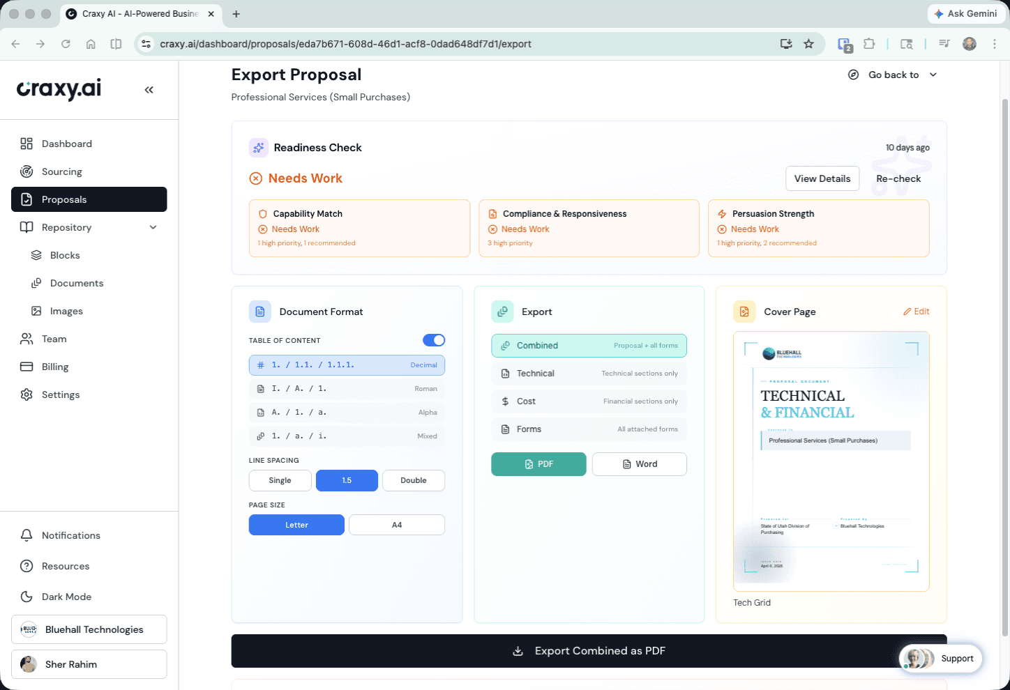 Export page with readiness check, document format selection, and cover page preview